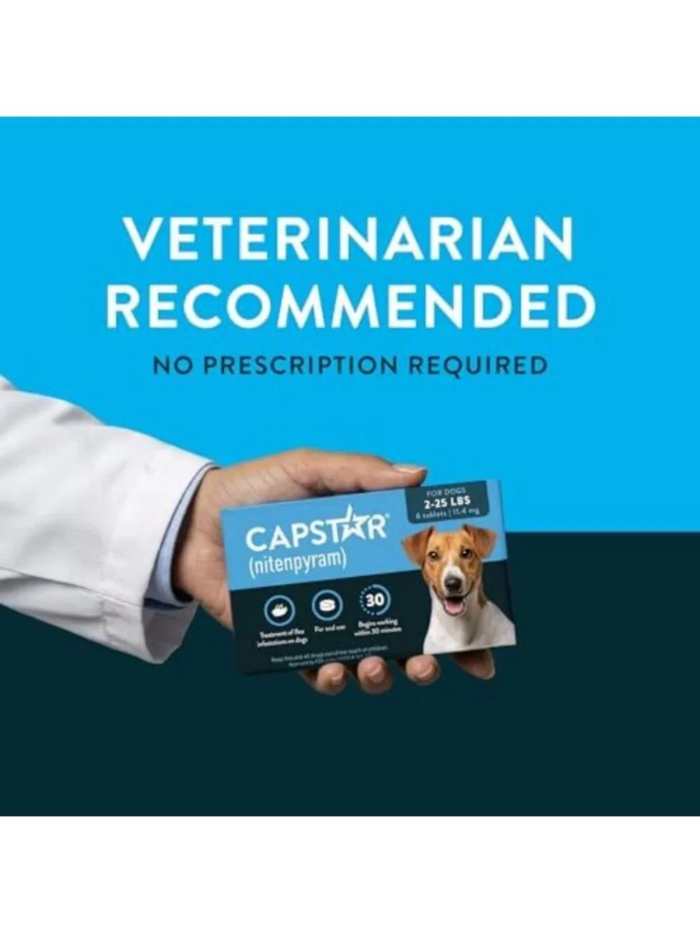 Fast-Acting Oral Flea Treatment for Dogs 2-25 Lbs, Vet-Recommended, 6 Doses